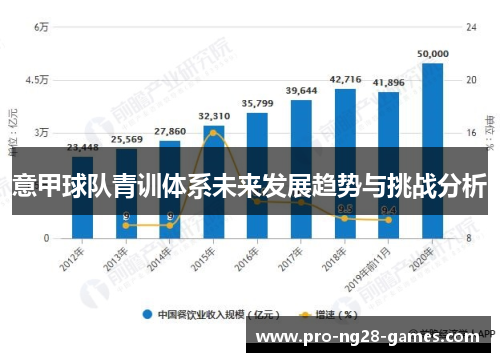 意甲球队青训体系未来发展趋势与挑战分析
